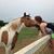 Nancy Lee Mauk Fisher's profile image