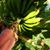 Donna Cassady's profile image