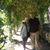 Joyce Van Doorne Hoeksema's profile image