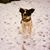 John P. Maldjian's profile image