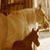Kerry Hughes Langer's profile image