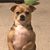 Peggy Hartzell Alsop's profile image