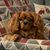 Steve Kizewic's profile image