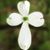 Christina Davis McCloud's profile image