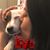 Lucy Kilgore's profile image