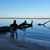 Rajeana Hausman's profile image