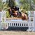Julie Kokin Miller's profile image
