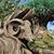 Tabitha Cowser's profile image