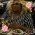 Diane Green's profile image
