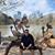 Suhail Thomas's profile image
