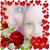 Cherylle Proell Duerr's profile image