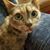 Ann Landry's profile image