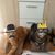 Celine Gina's profile image