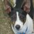 Mary Ladwig's profile image