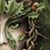 Ernie Winters's profile image