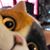 Susan Vogt Sheythe's profile image