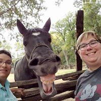Jess Steidl's profile image