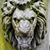 Amy Armbruster's profile image