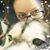 Andria Cottrell Fenner's profile image