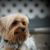 Teresa Mcminn's profile image