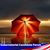 Cecile Paradis's profile image
