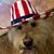 Ken Purcell's profile image