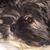 Colleen Mynahan Antantis's profile image