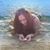 Kimberly Lemire's profile image