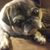 Eileen Kane's profile image