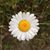 Janette Szuber Catchpole's profile image