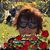 Donna Garcia's profile image