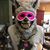 MaryAnn Norton Short's profile image