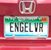 Lynn Renee Fitzgerald's profile image