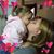 Colleen Krop's profile image