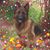 Tandi L Crowder Blonigen's profile image