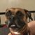 Karen White's profile image