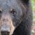 Cyndi Miller Hoxie's profile image