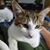 Donna Blancett's profile image