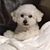 JoshandLeslie Morton's profile image