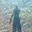 Gustavo Berocan's profile image