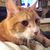 Karol Bowman's profile image
