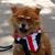 Scott Chow's profile image