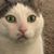 Glenn Suckow's profile image