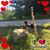 Tia Winkelmann's profile image