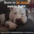 Lynn Frischmann's profile image