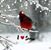 Terri Valaitis McCants-Thurber's profile image