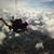 Brenda Sprigler's profile image
