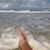 Susie Hougland's profile image