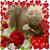 Sarah Michelle Oliver's profile image
