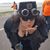 Crystal Colegrove's profile image